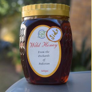 Wild Honey (500g)